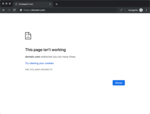 Come Risolvere L Errore ERR TOO MANY REDIRECTS In WordPress Kinsta