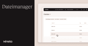 Verwalte die WordPress Dateien im MyKinsta Dashboard
