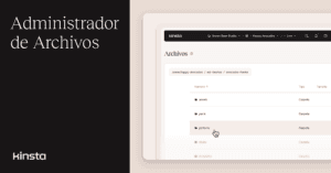 Gestionar los archivos de WordPress en el panel de control de MyKinsta