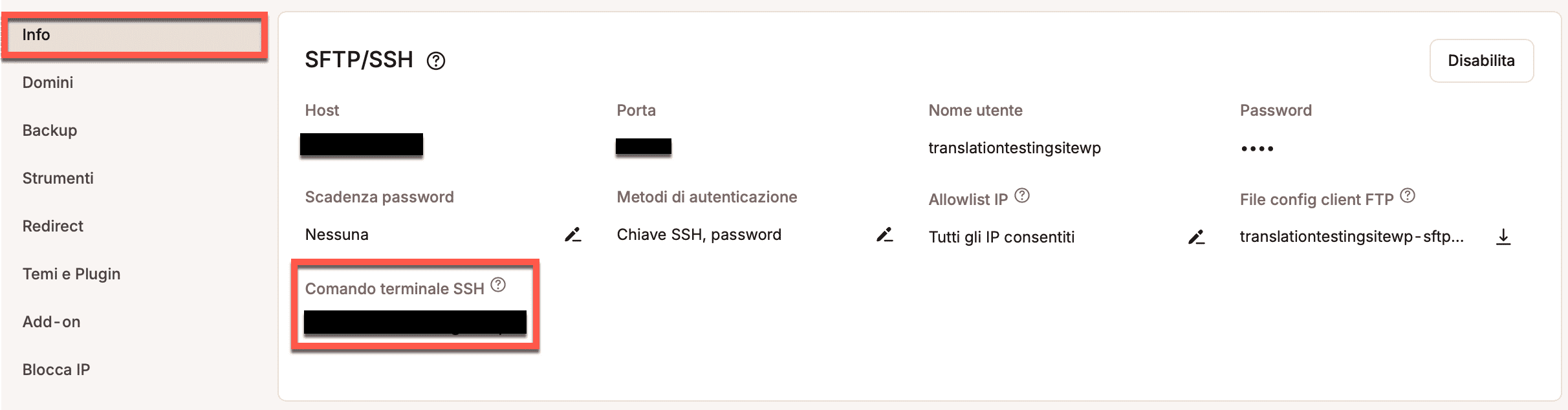 Comando terminale SSH in MyKinsta.