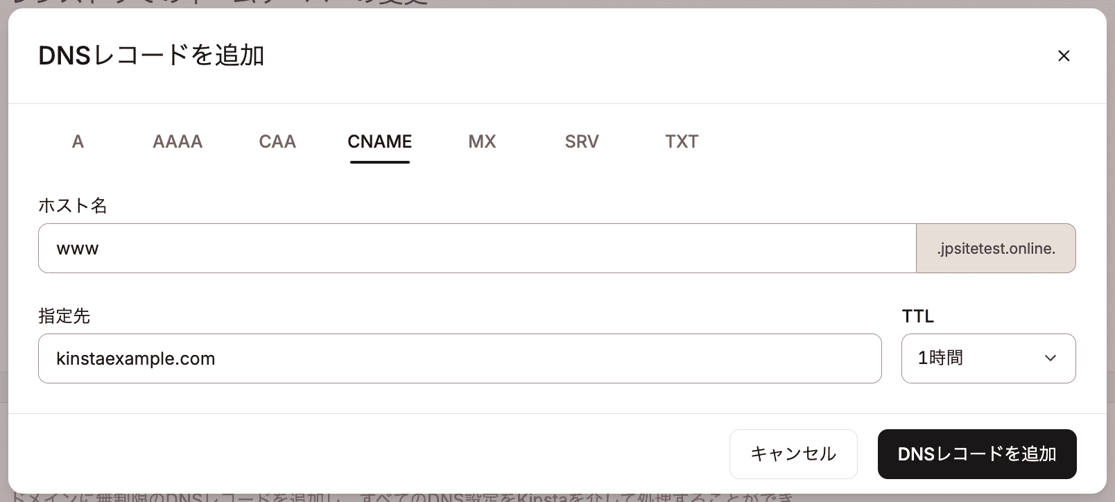 KinstaのDNSにCNAMEレコードを追加