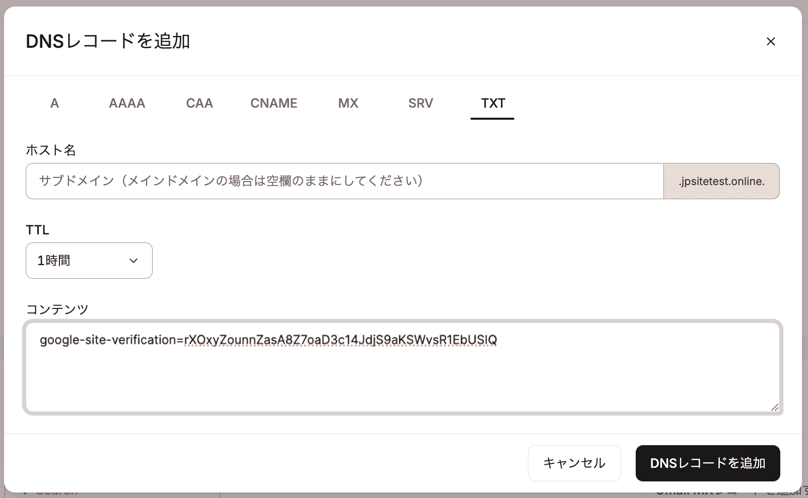 KinstaのDNSでTXTレコードを追加