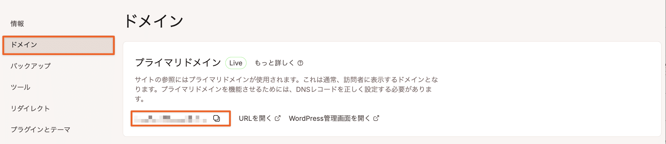 Kinstaの一時URL