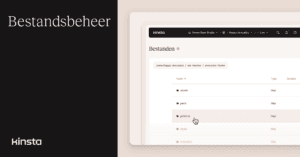 Beheer WordPress bestanden vanuit het MyKinsta dashboard