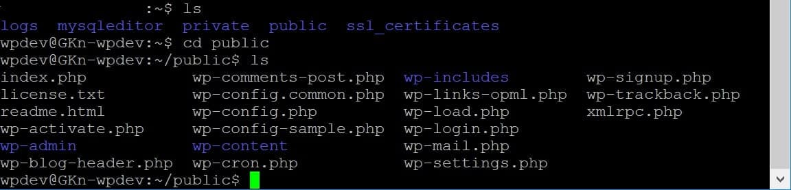 Exécution des commandes SSH dans PuTTY.