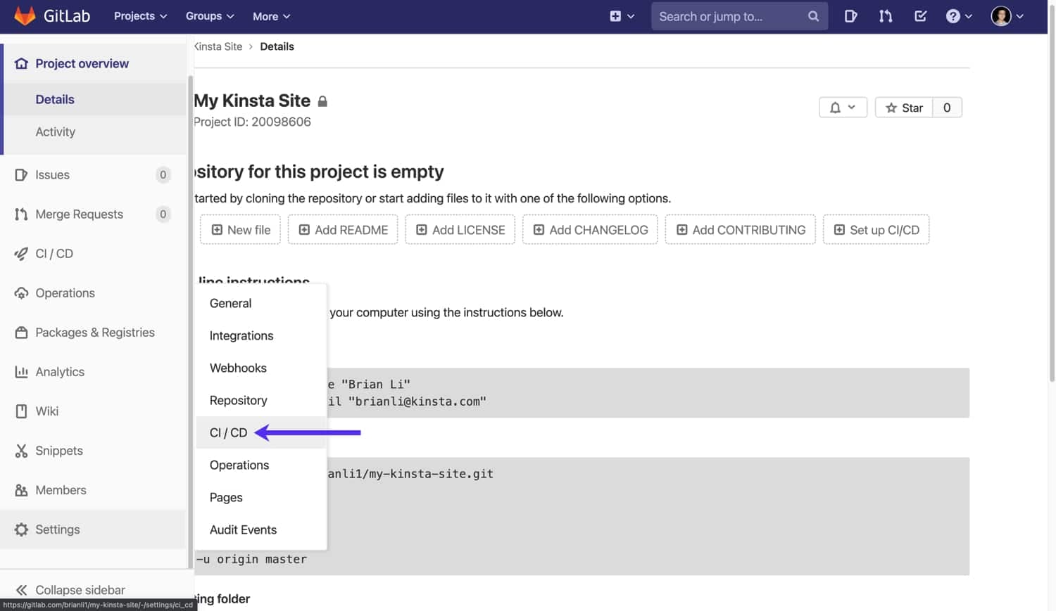 GitLab repository CI/CD settings.