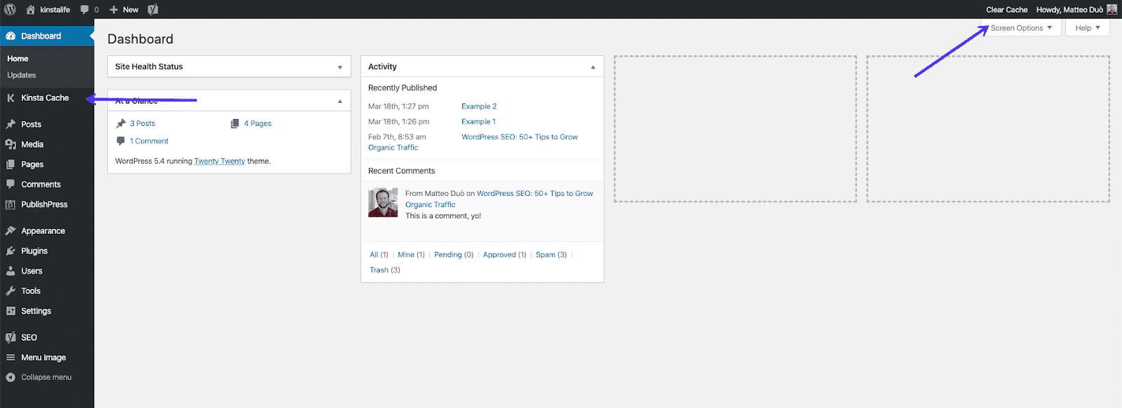 Borra la caché desde tu panel de WordPress con el plugin Kinsta MU.