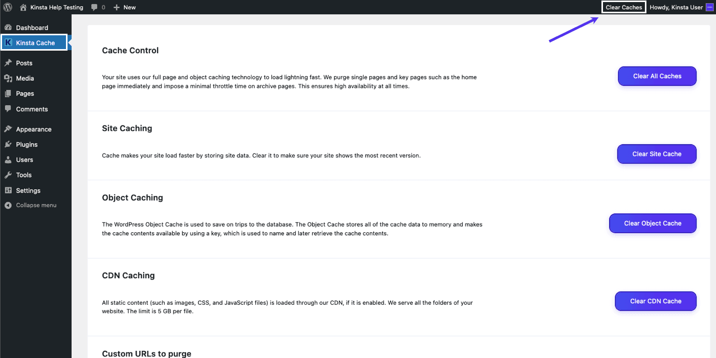 Le plugin Kinsta Cache dans le tableau de bord de WordPress.