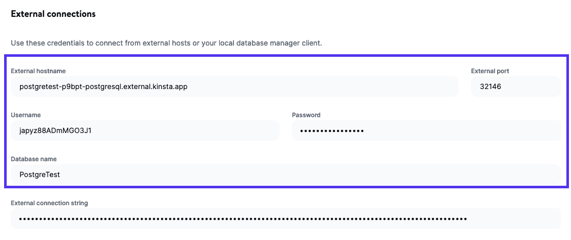 Información de las conexiones externas de la base de datos en MyKinsta.