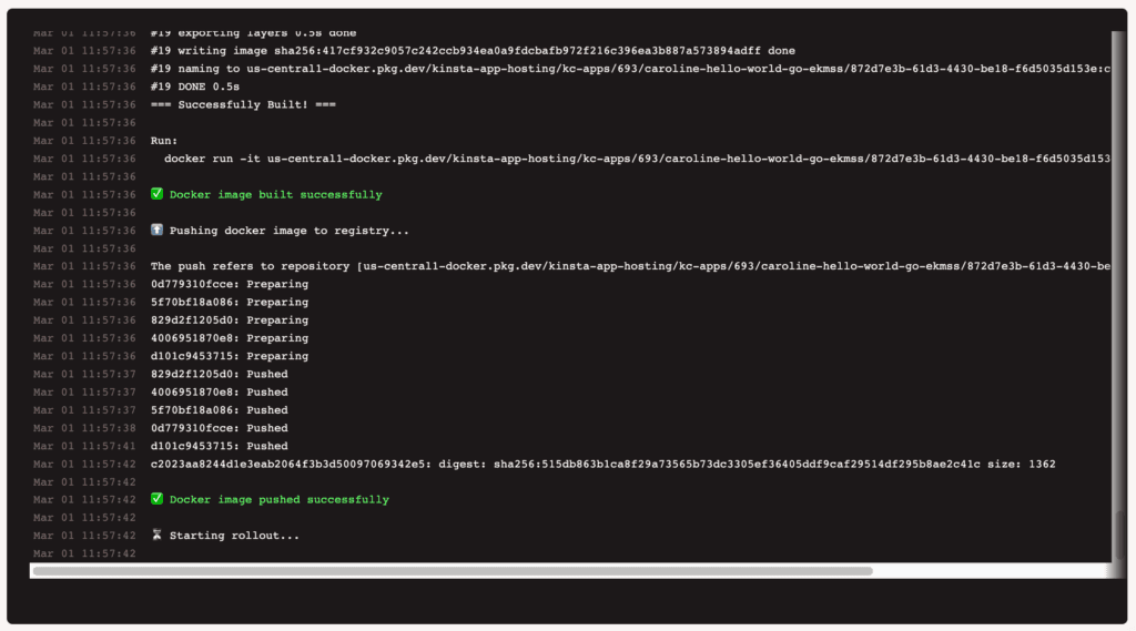 The application deployment log for an individual deployment.