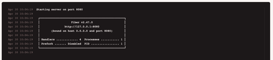 The runtime logs for an individual deployment. 