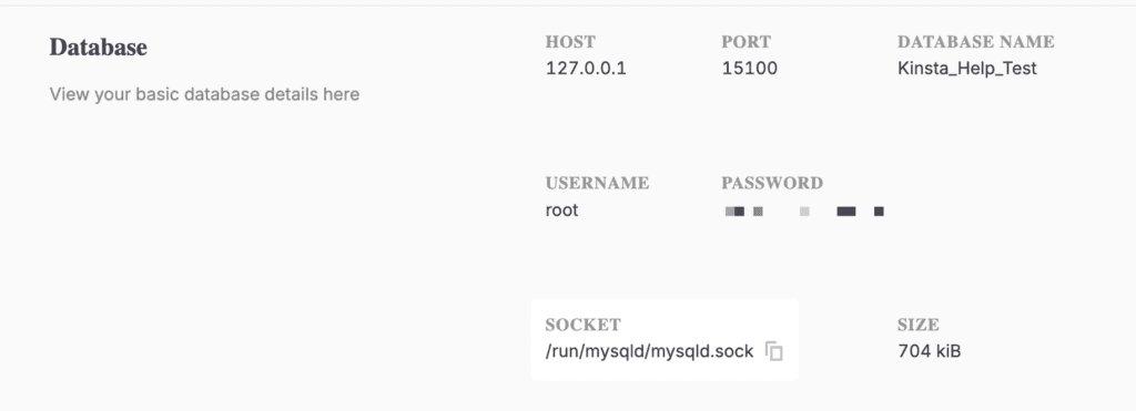 DevKinsta database details.