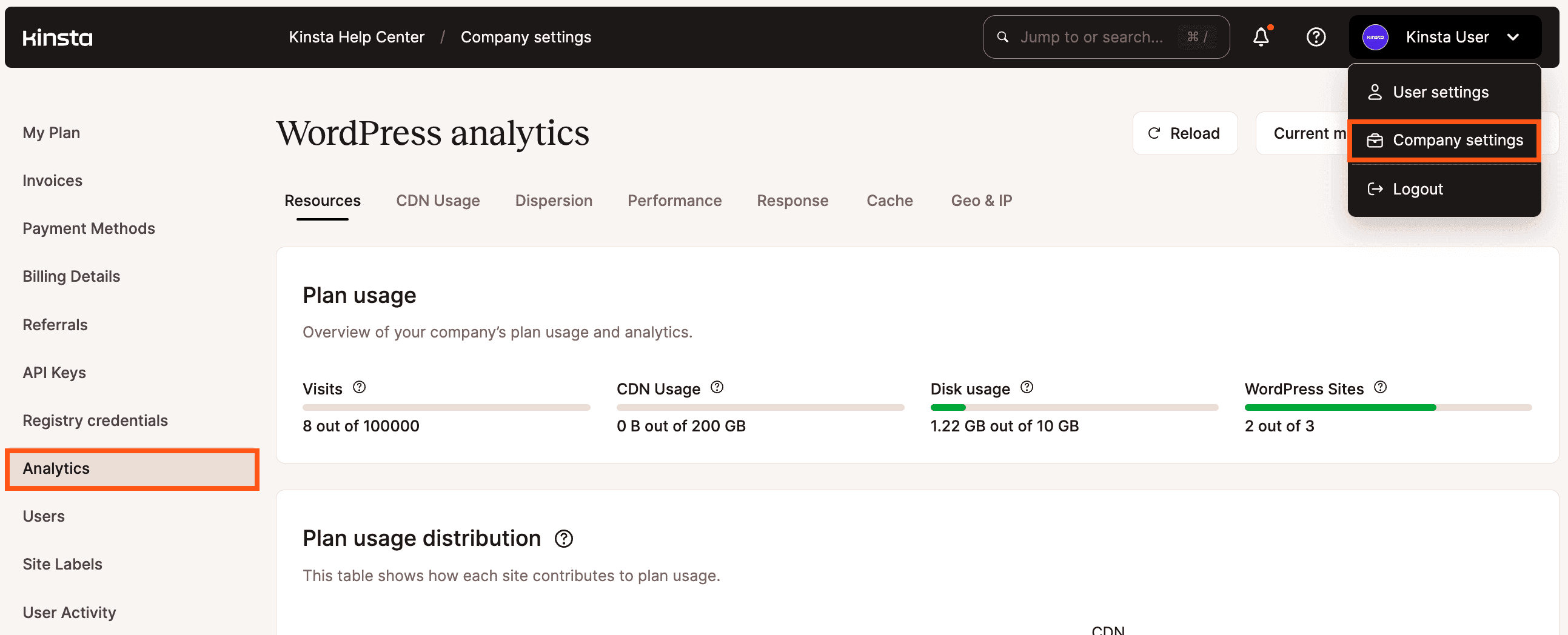 Company-level WordPress Analytics in MyKinsta.