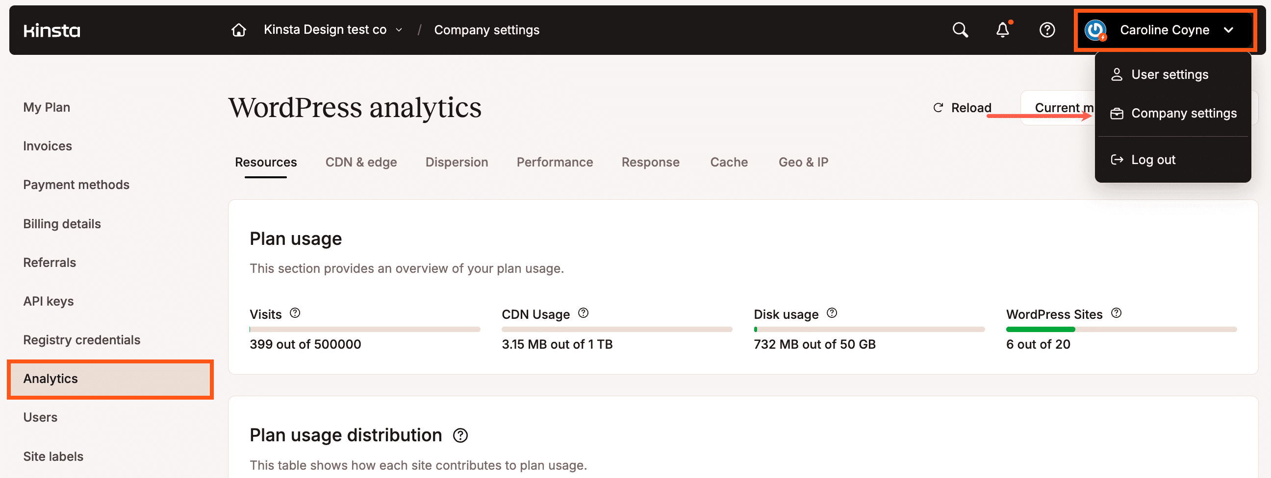 Company-level WordPress Analytics in MyKinsta.