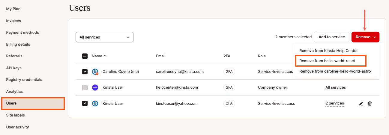 Meerdere gebruikers selecteren en verwijderen uit een service in MyKinsta.