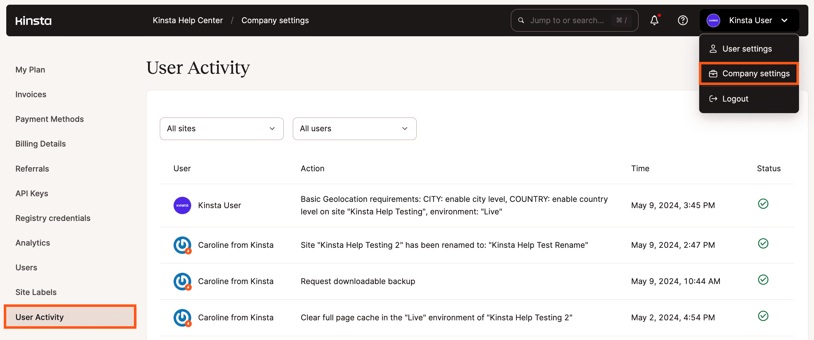 Company Activity Log in MyKinsta.