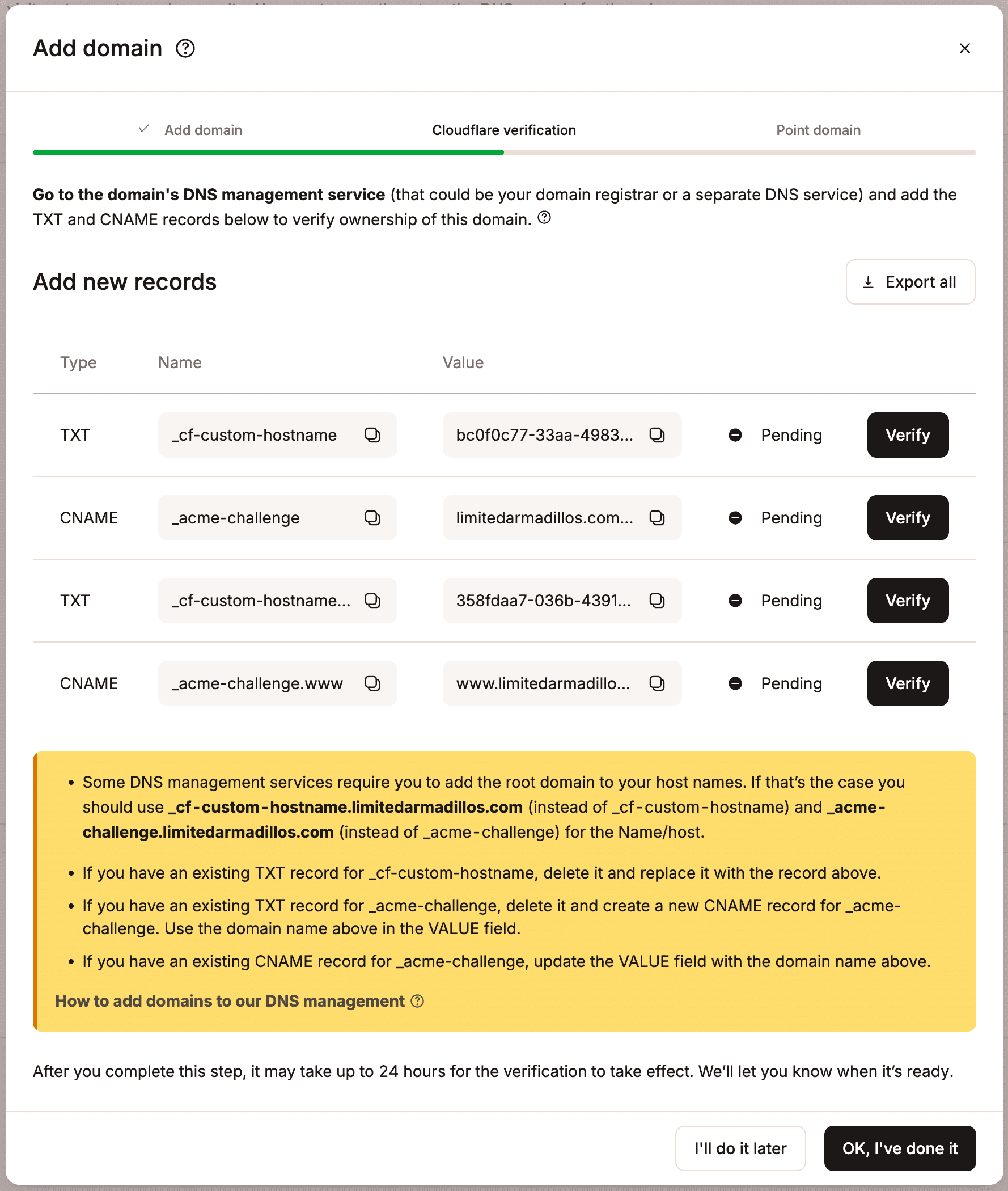Add the TXT and CNAME records to your DNS records to verify your domain ownership.