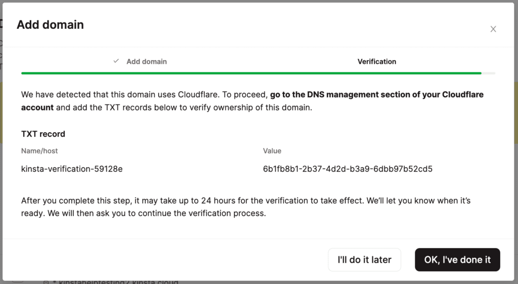 Premier enregistrement TXT dans MyKinsta pour vérifier le domaine Cloudflare.