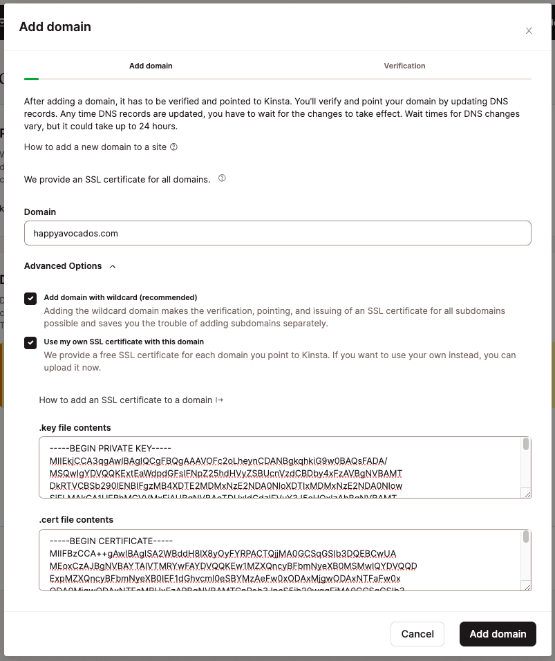 Add your custom domain and custom SSL certificate in MyKinsta.