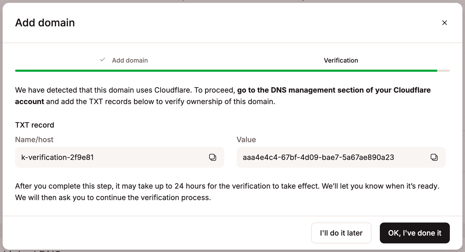 First TXT record in MyKinsta to verify Cloudflare domain.