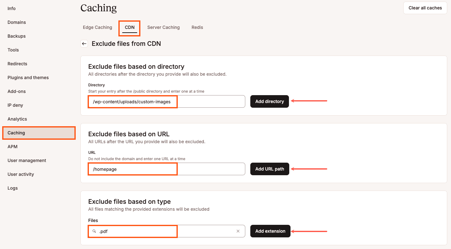 MyKinsta settings for CDN exclusions.