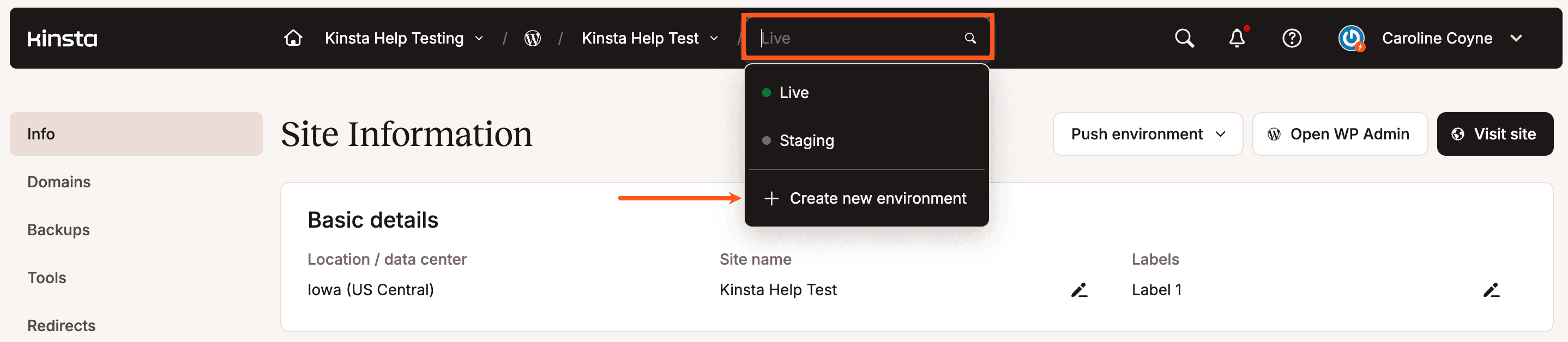 Creating a new Kinsta staging environment in MyKinsta.