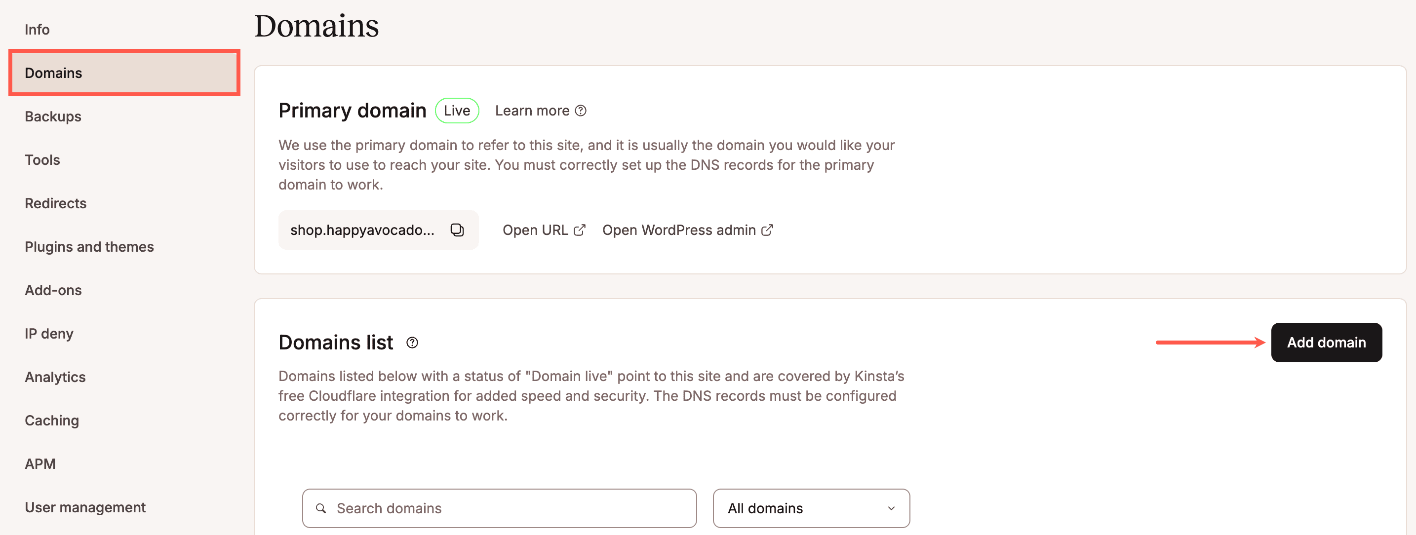 Add a new domain in MyKinsta.