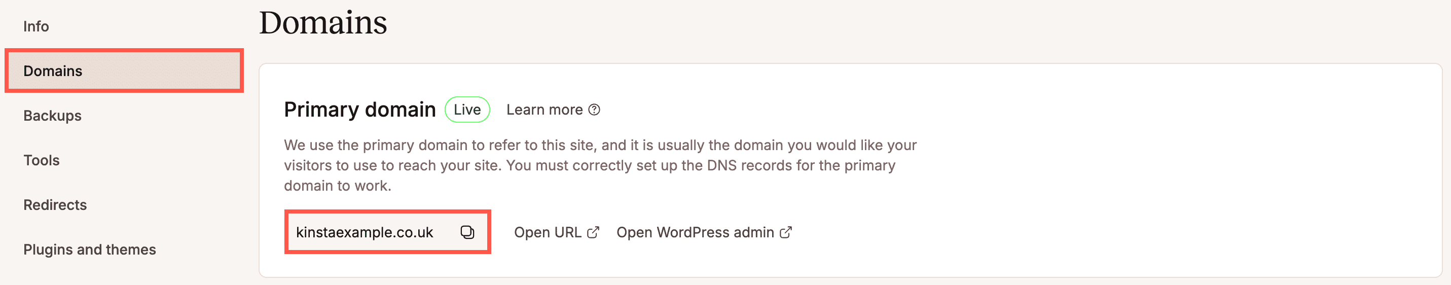 New primary domain in MyKinsta.