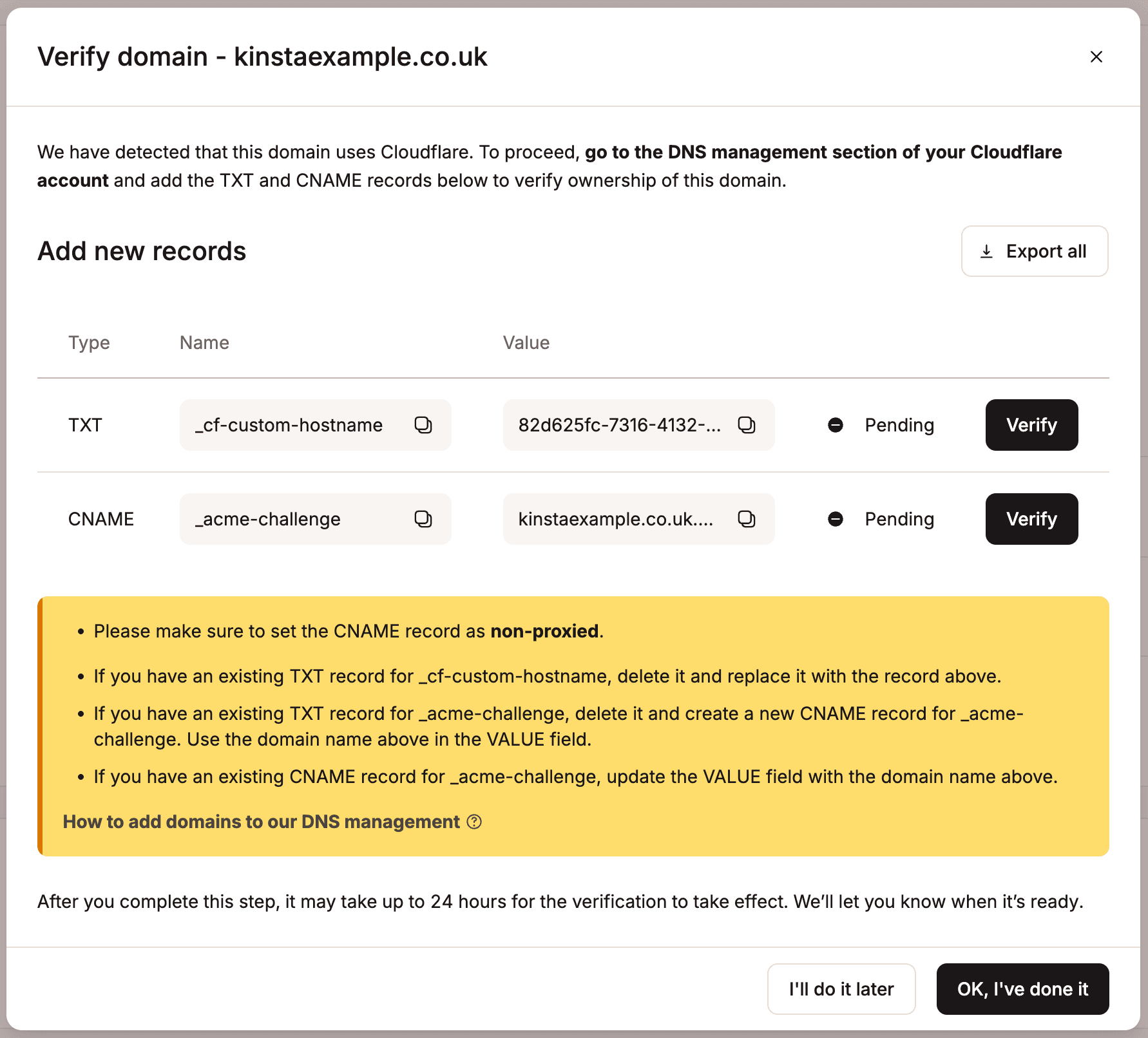 Second set of DNS records in MyKinsta to verify Cloudflare domain.