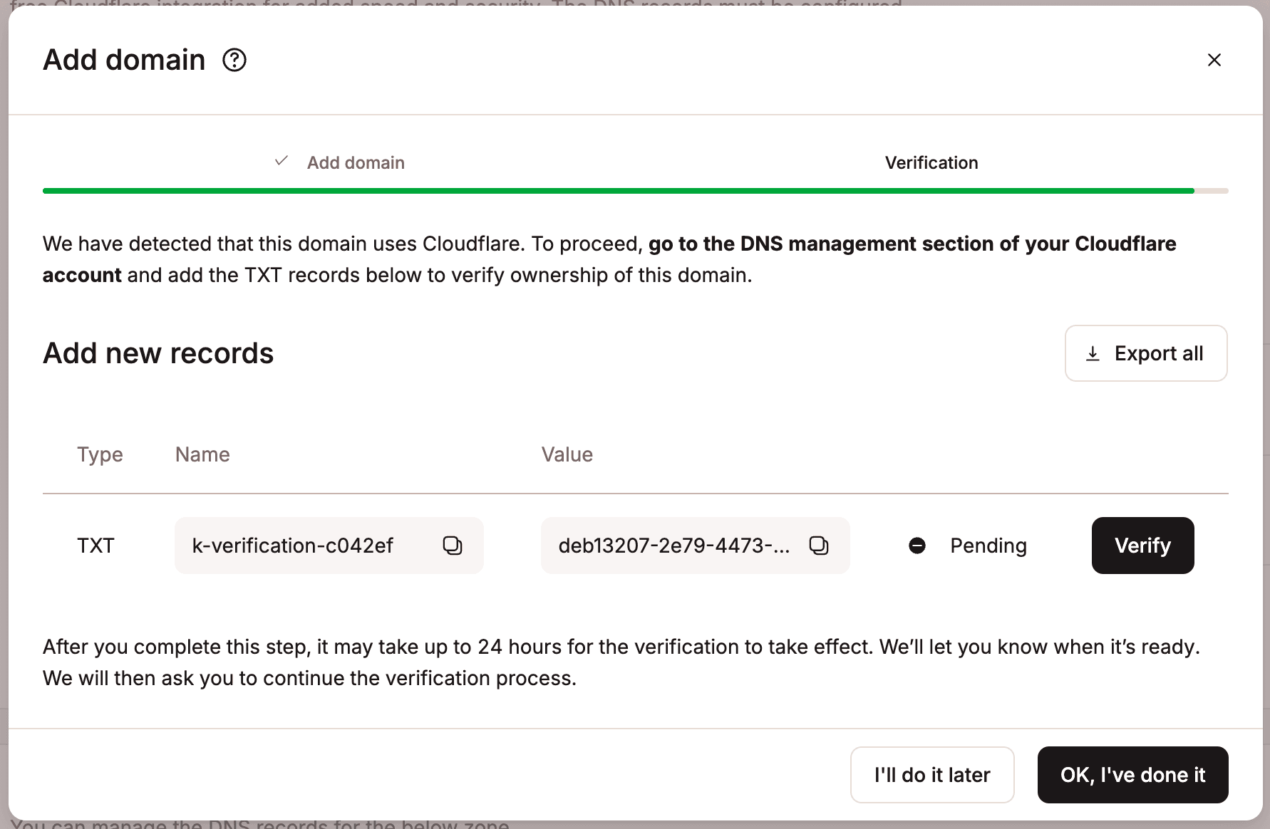 First TXT record in MyKinsta to verify Cloudflare domain.