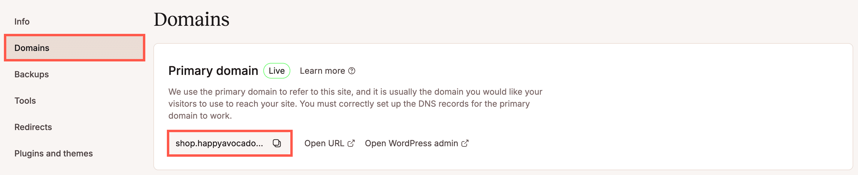 New primary domain in MyKinsta.