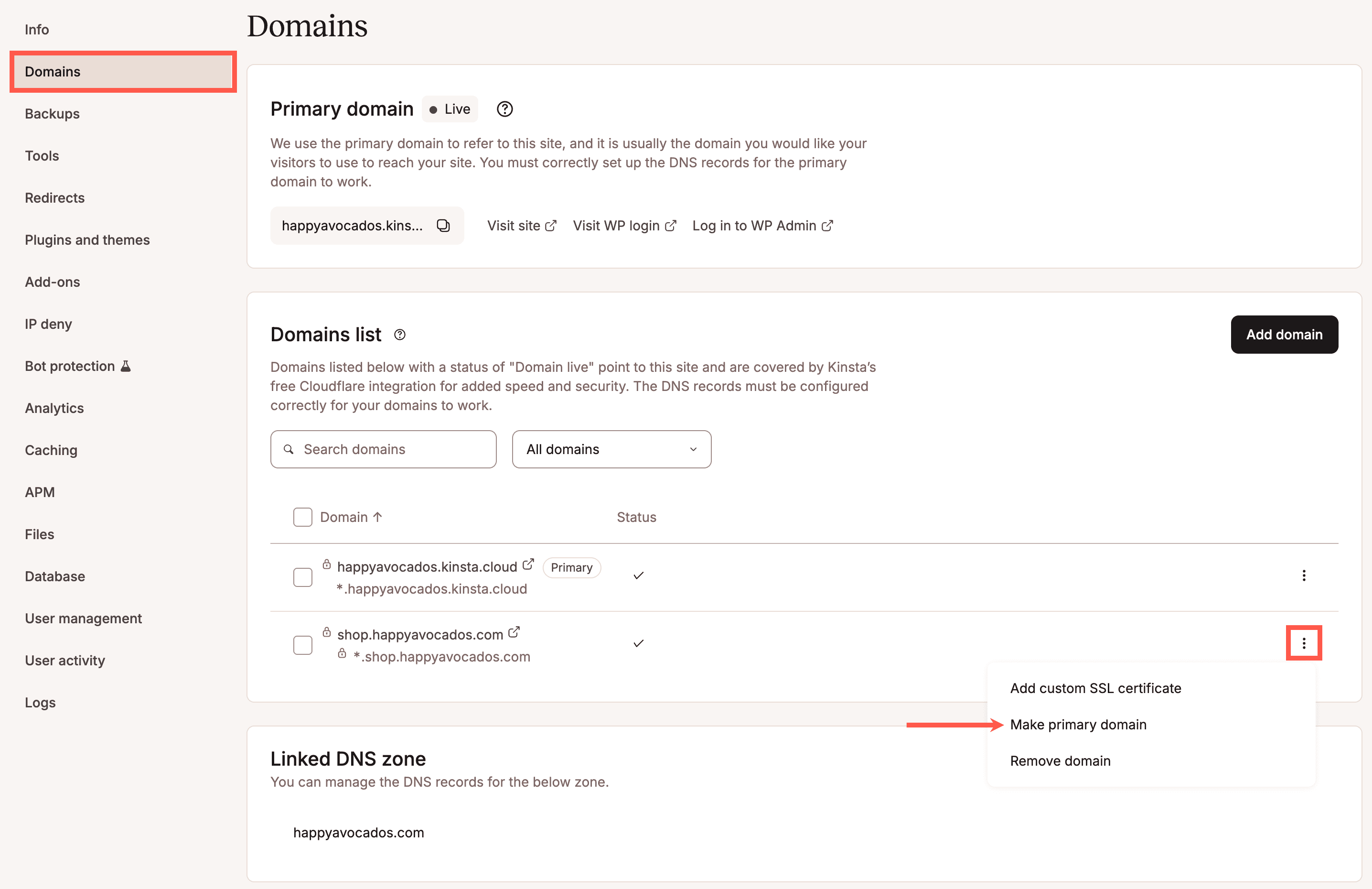 Make a domain the primary domain in MyKinsta.