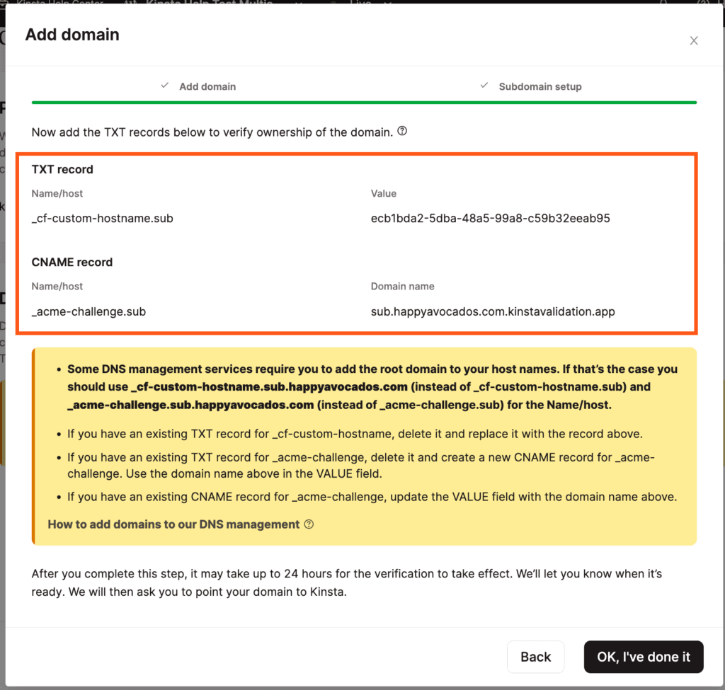 Registros TXT para verificar seu subdomínio.