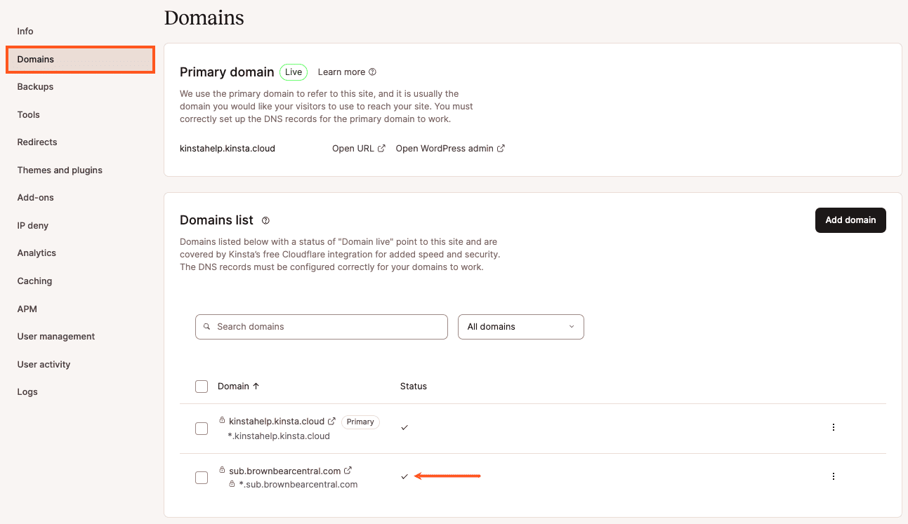 Successful subdomain configuration in MyKinsta.