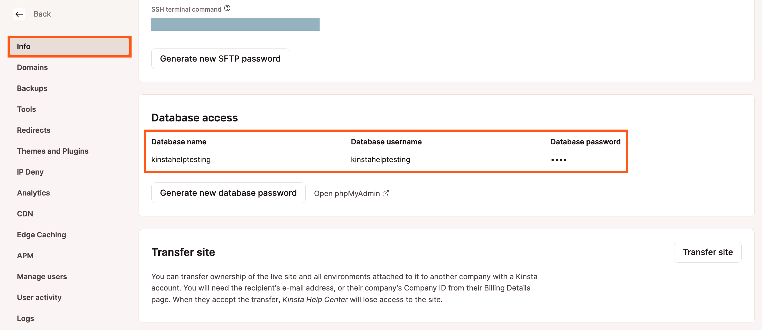 Credenciais de acesso ao banco de dados em MyKinsta.