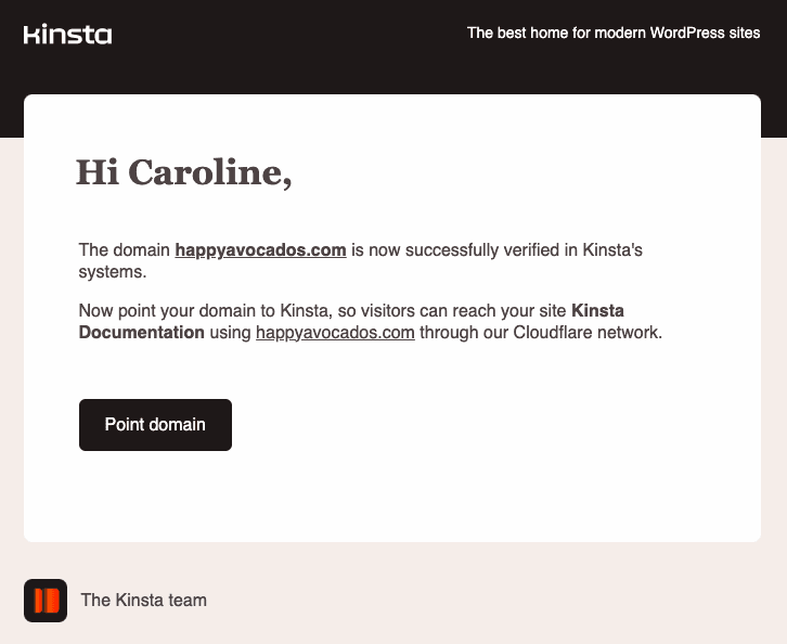 Domain verification email from Kinsta.