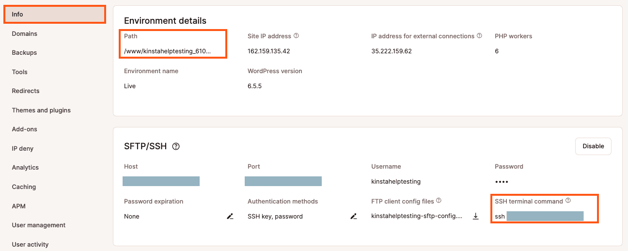 Path and SSH terminal command in MyKinsta.