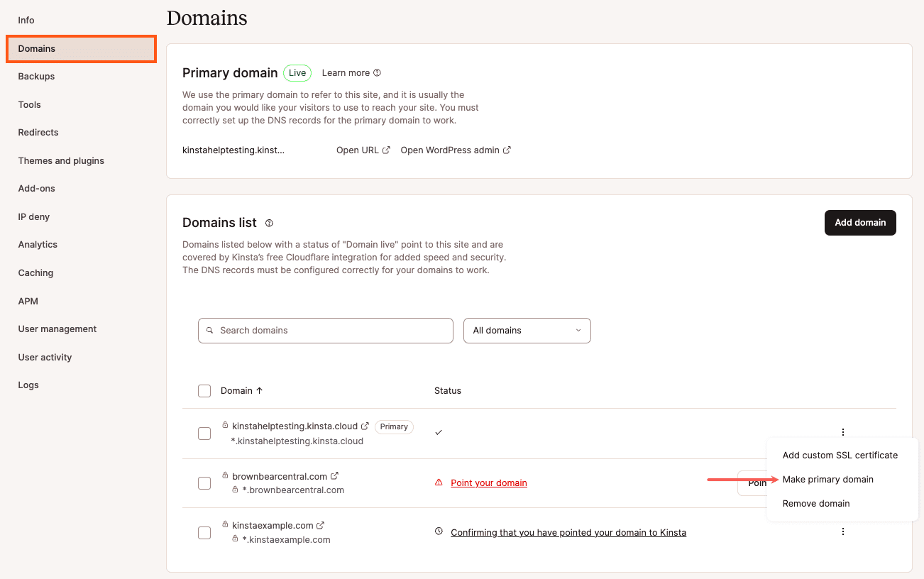 Make a domain the primary domain in MyKinsta.