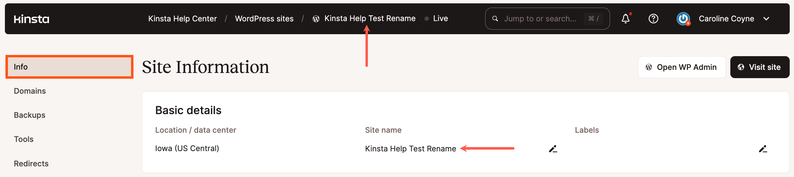Example of a renamed site in MyKinsta.