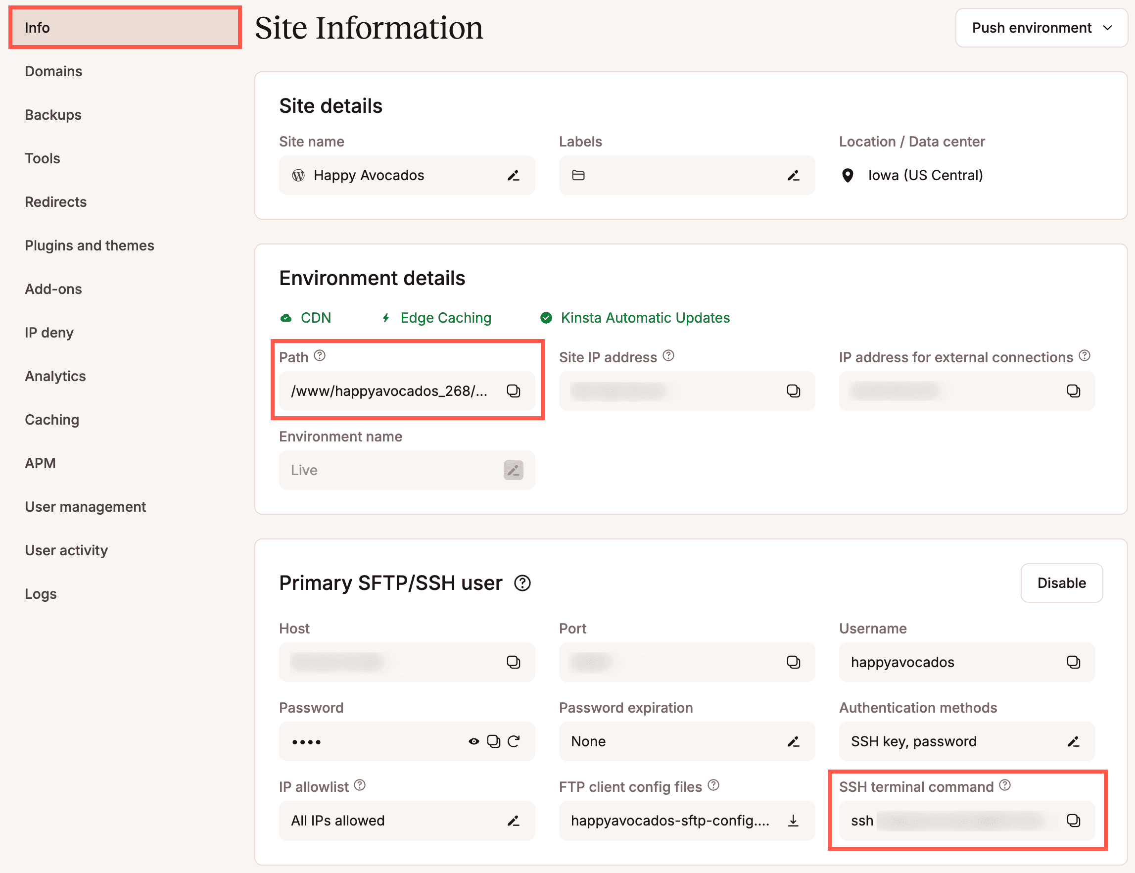 Public path and SSH details in MyKinsta.