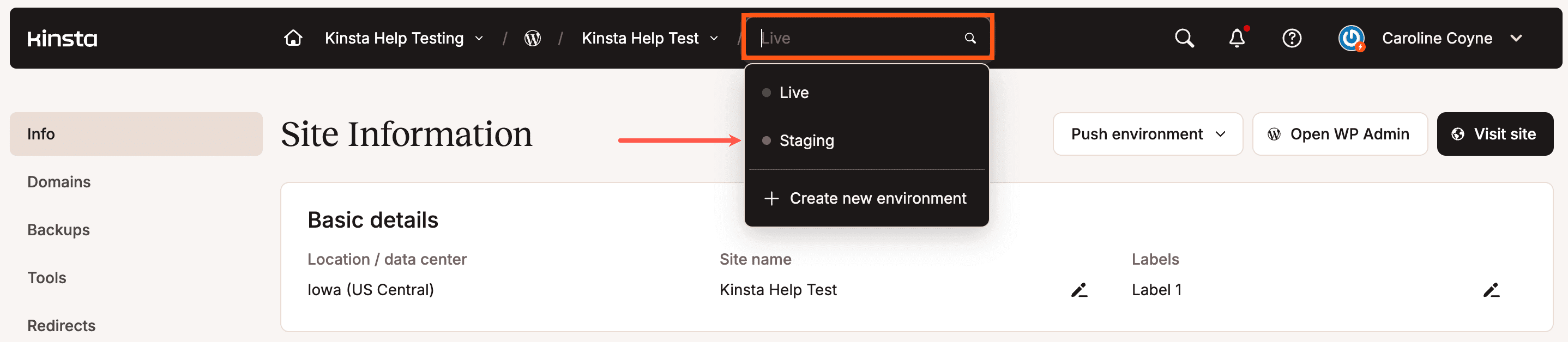 Select the staging environment.