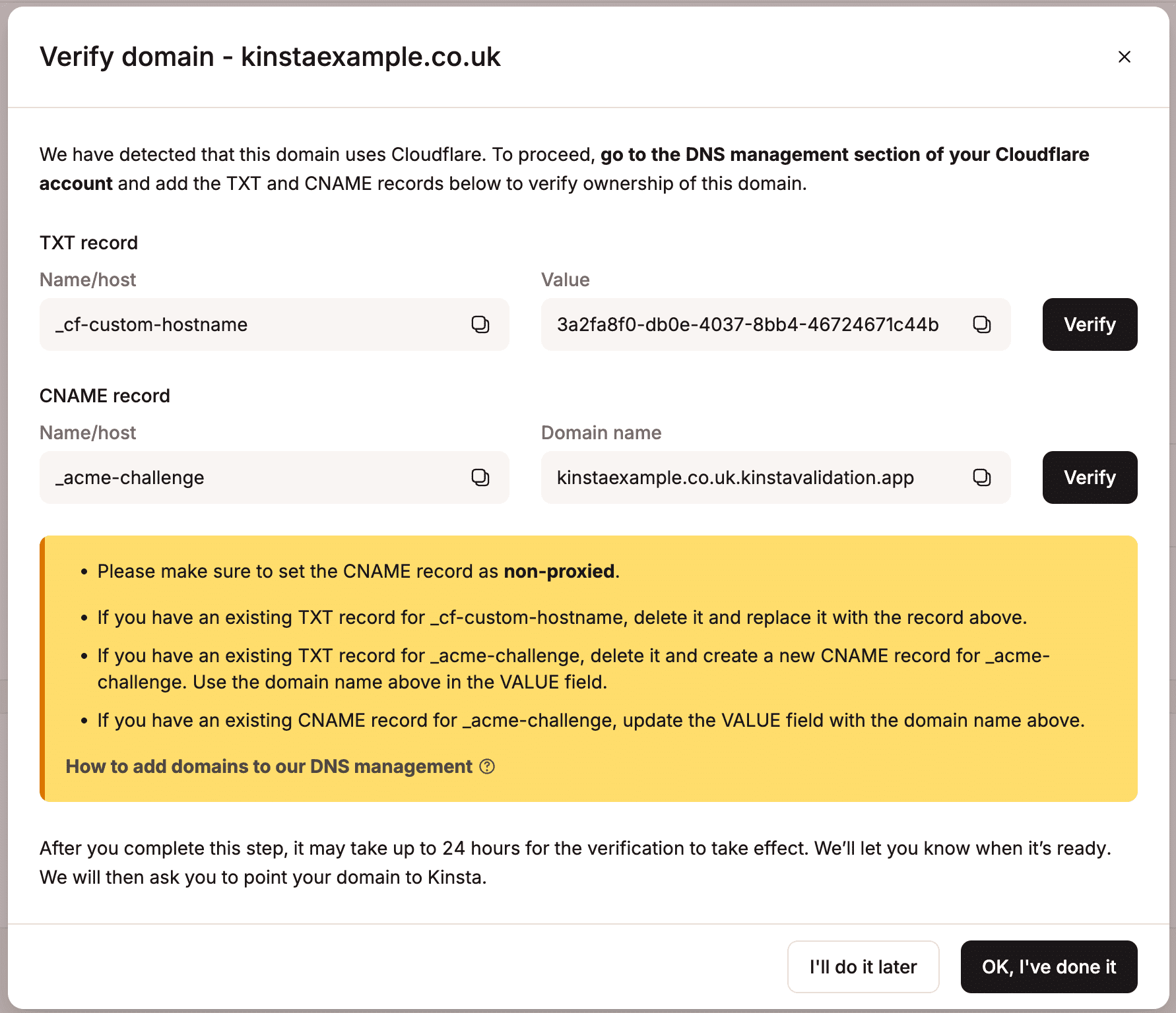 Second set of DNS records in MyKinsta to verify Cloudflare domain.