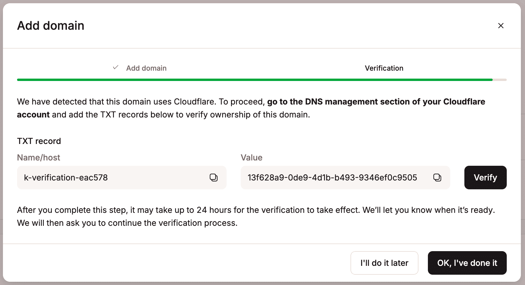 First TXT record in MyKinsta to verify Cloudflare domain.