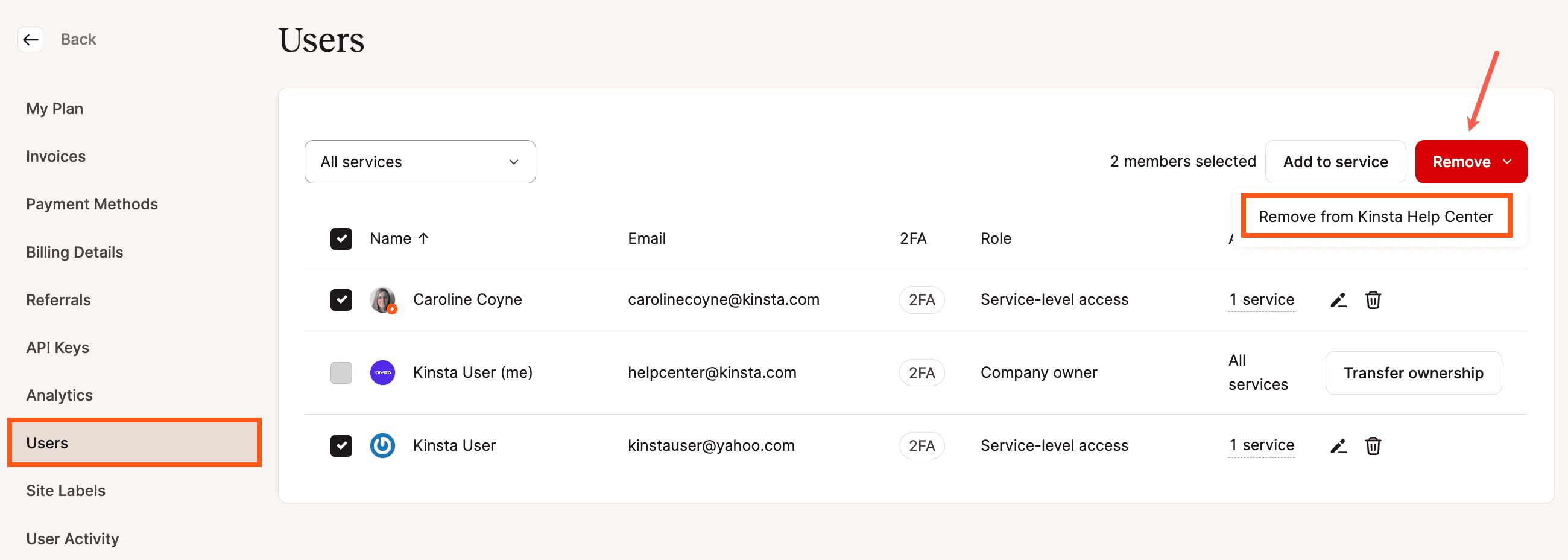 Meerdere gebruikers verwijderen uit een bedrijf in MyKinsta.