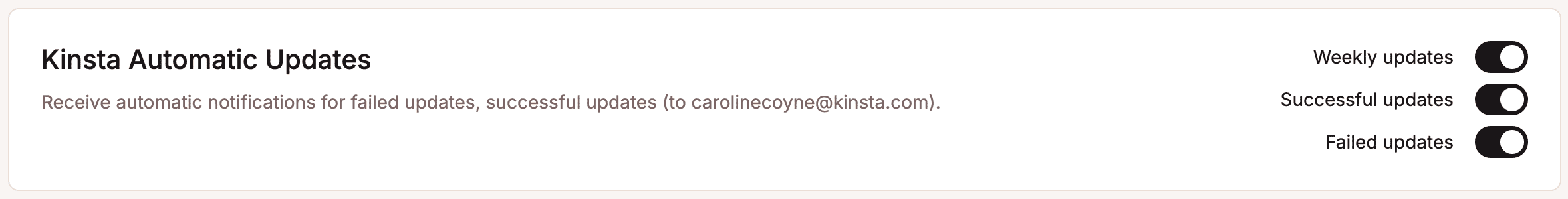 Set up notifications for Kinsta's Automatic Updates.