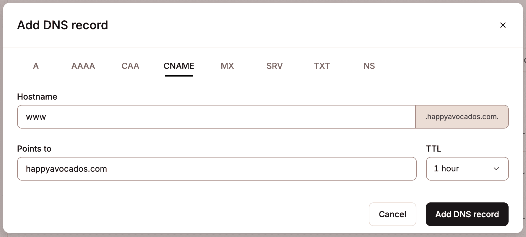 Add a CNAME record in Kinsta's DNS.