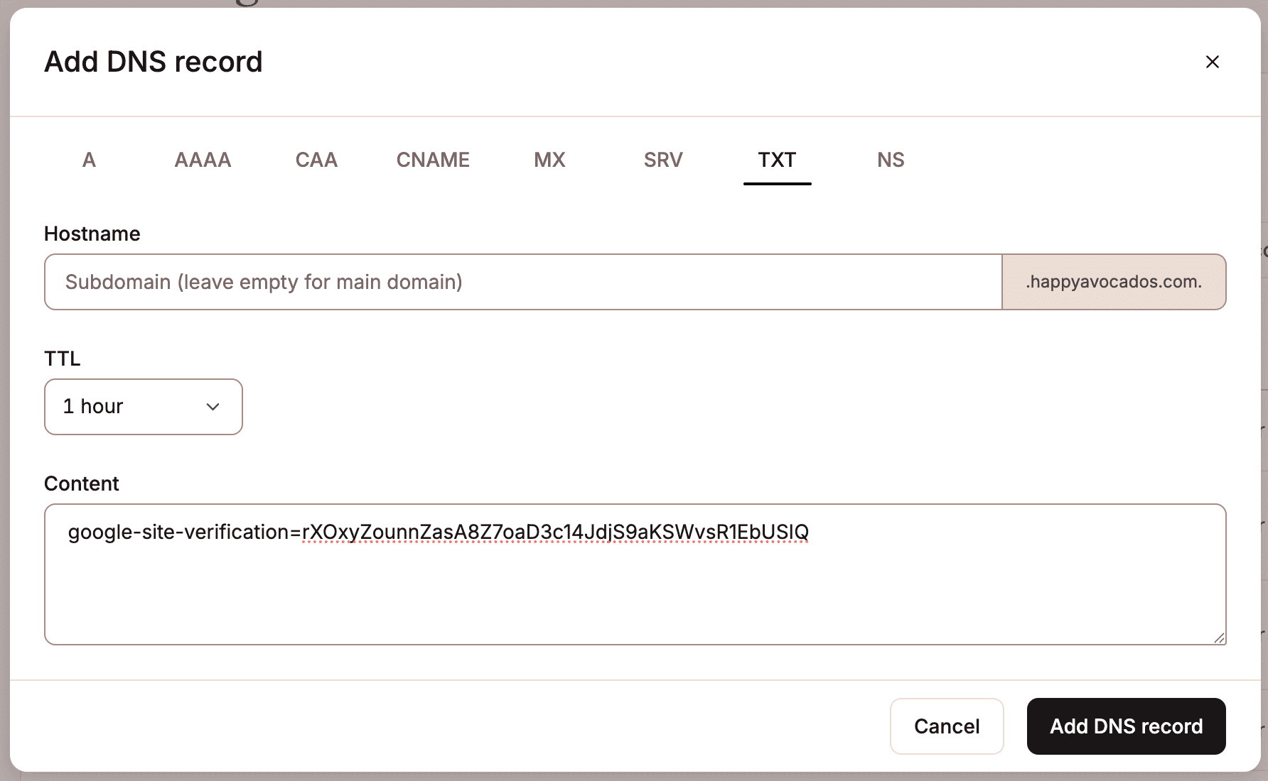 Add a TXT record in Kinsta's DNS.