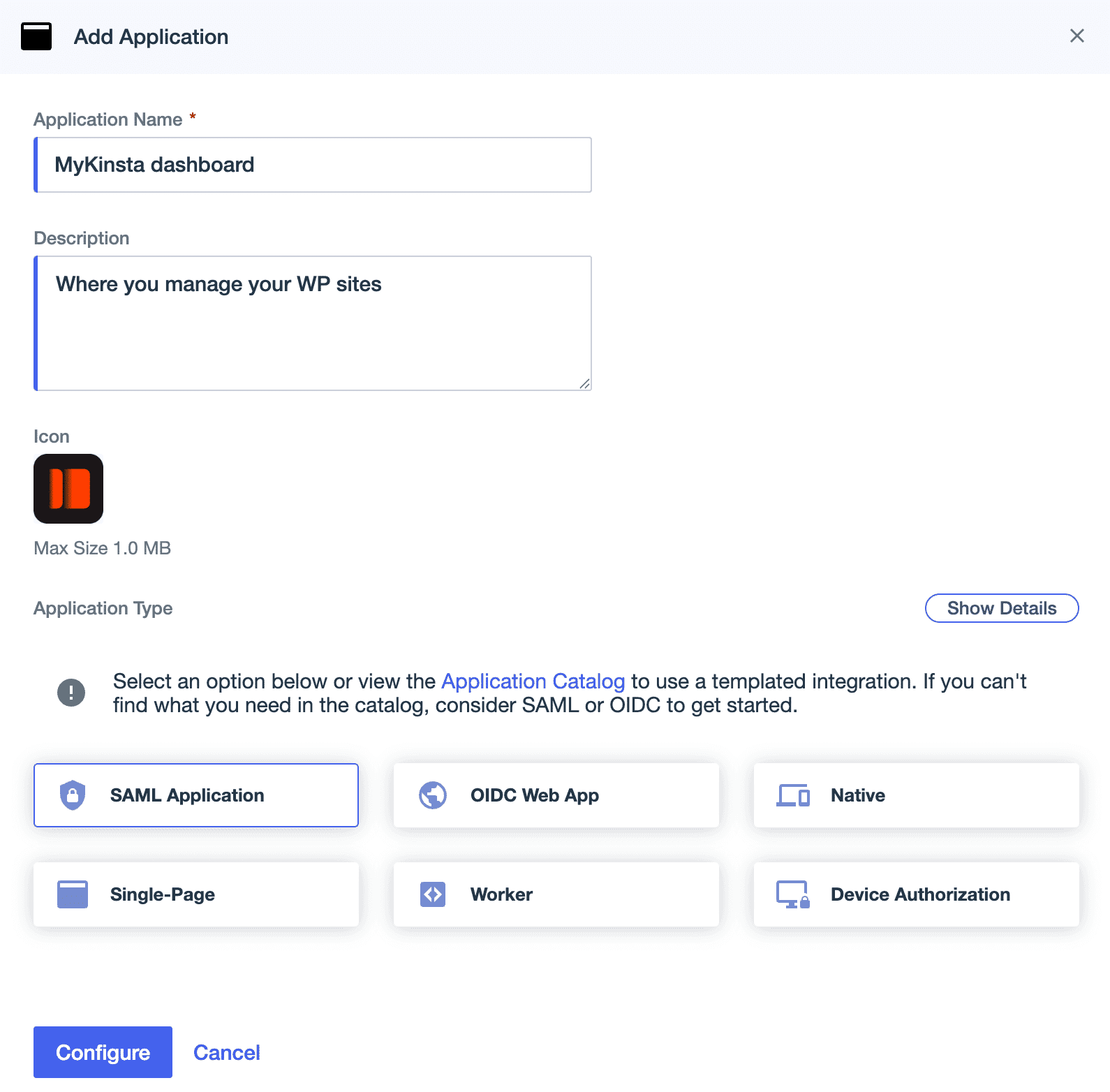 Application details in Ping Identity.