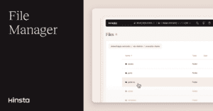 Manage WordPress files in the MyKinsta dashboard