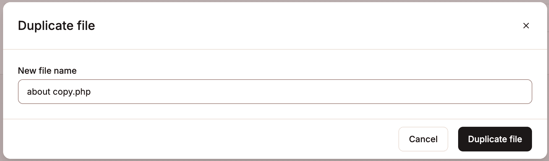 Duplicate a file in MyKinsta's file manager.